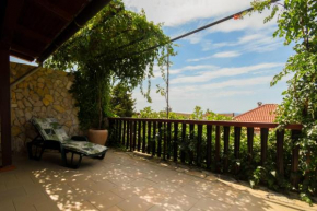Apartment Danica, Vir